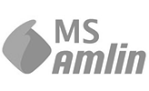 MS amlin